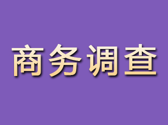 盘锦商务调查